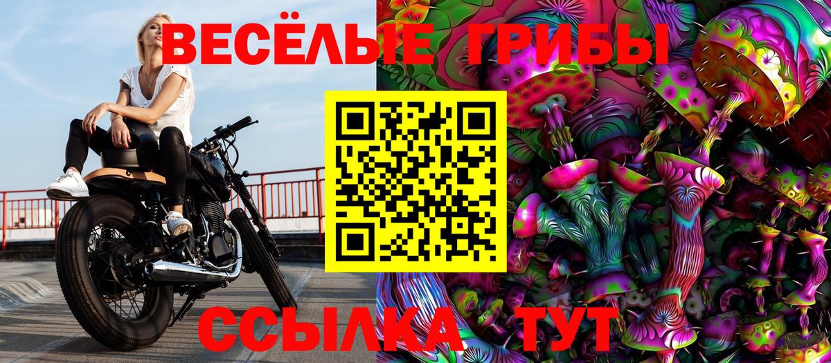 Псилоцибиновые грибы прущие грибы Котельники